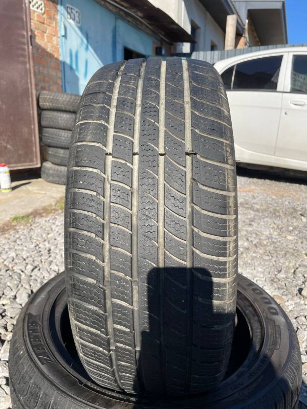 Шини пара Zeetex 205/50 r17 зима Гума