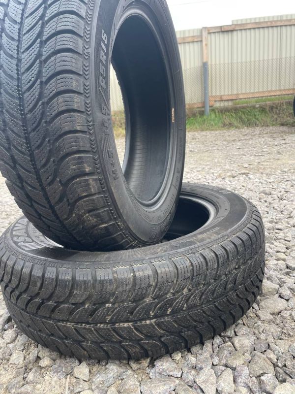 Шини пара Sava 185/65 r15 зима Гума