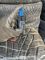 Шини пара Maxxis 225/60 r17 зима Гума
