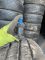 Шини пара Uniroyal 195/65 r16 c зима Гума