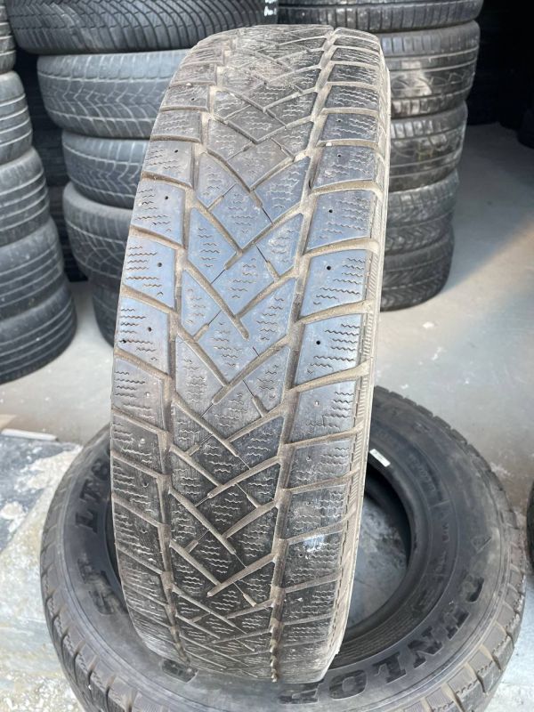 Шини пара Dunlop 205/75 r16c зима Гума