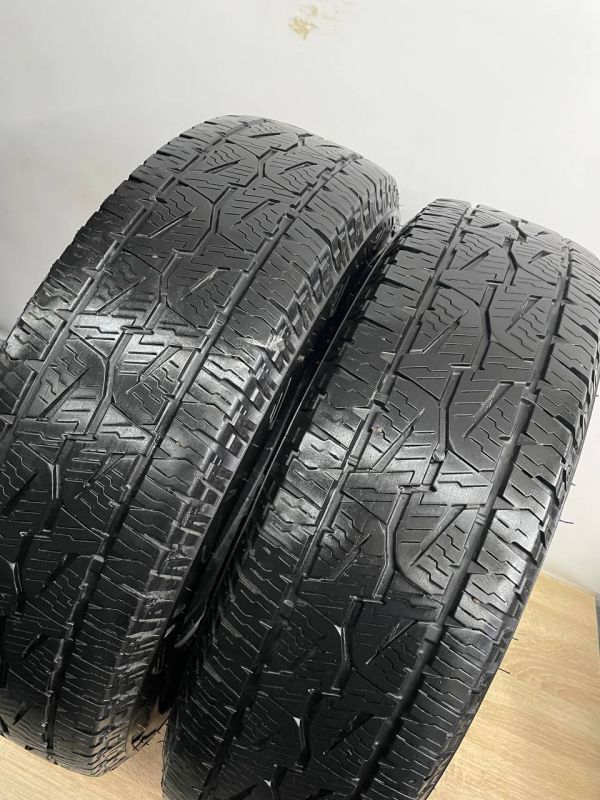 Шини пара Bridgestone 195/80 r15 літо Гума