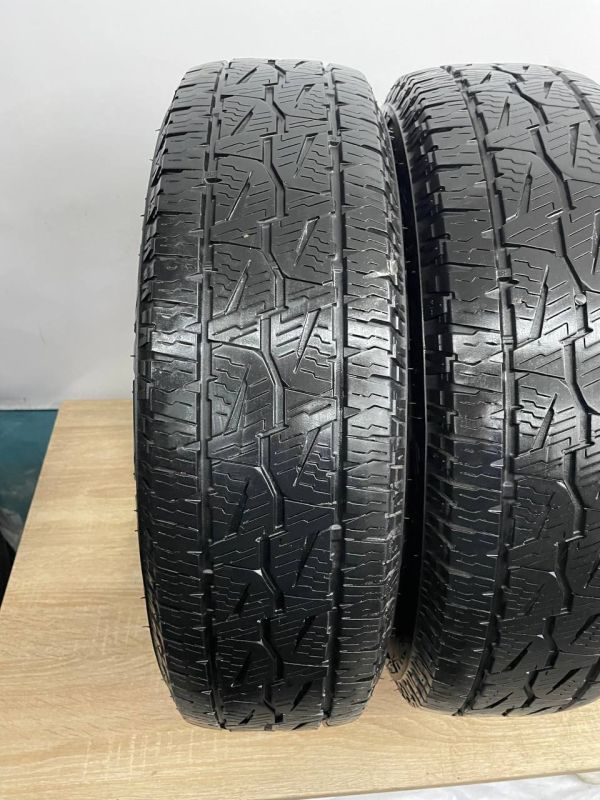 Шини пара Bridgestone 195/80 r15 літо Гума