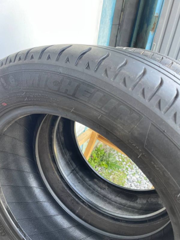 Шини пара Michelin 195/55 r16 літо резина