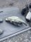 Фари права ліва Ford Focus 1 Форд фокус