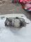 Фара передня ліва Renault megane scenic 1 1995-1999 сценік