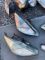 Фари права ліва Ford Focus 1 Форд Фокус 1