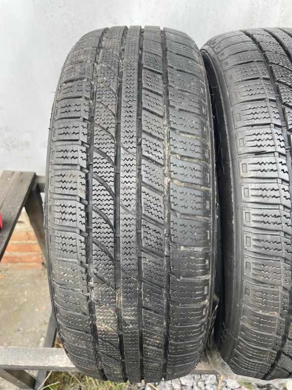 Шини пара Flexxice 195/65 r15 зима резина