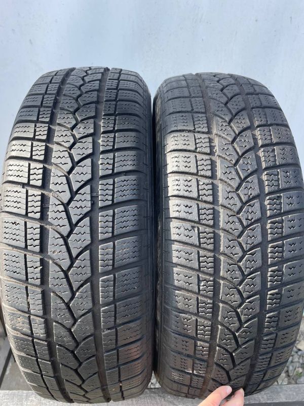 Шини пара Kormoran 195/65 r15 зима резина