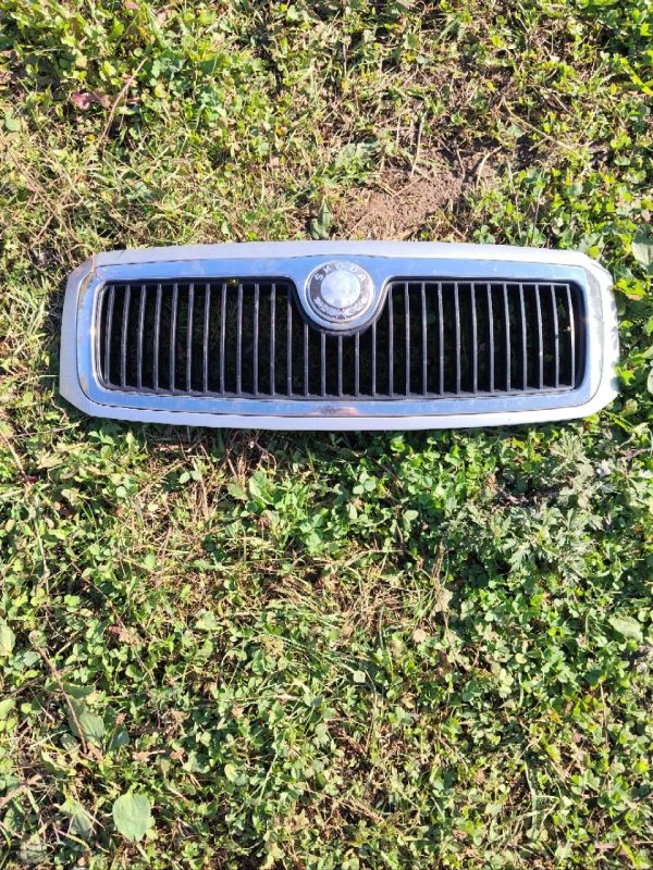 Решітка радіатора Шокоду Фабія Skoda Fabia 1